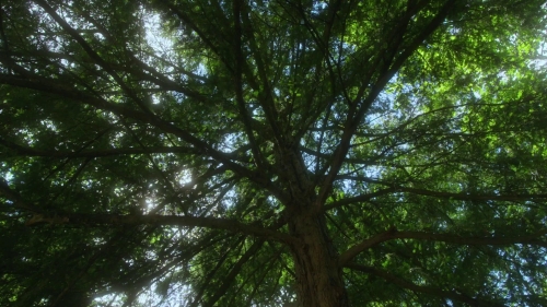 Orlando My Political Bio 09