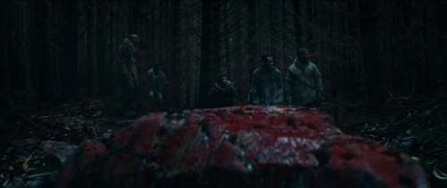 Out of the Darkness 30