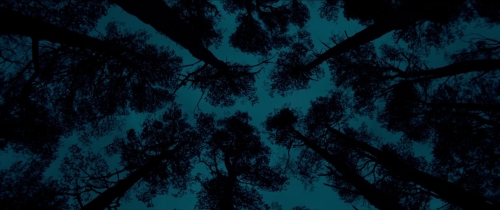 Out of the Darkness 31