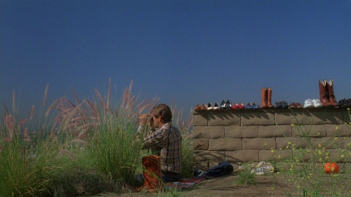Paris, Texas 23