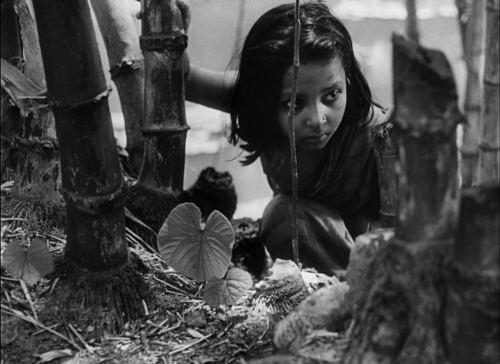 Pather Panchali 02