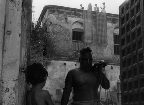 Pather Panchali 14