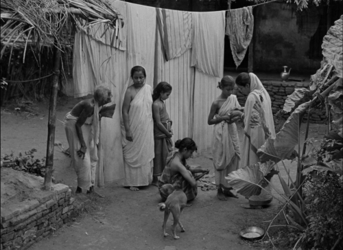 Pather Panchali 19