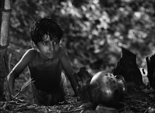 Pather Panchali 38