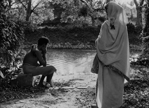 Pather Panchali 40