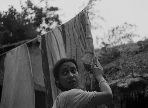 Pather Panchali 53