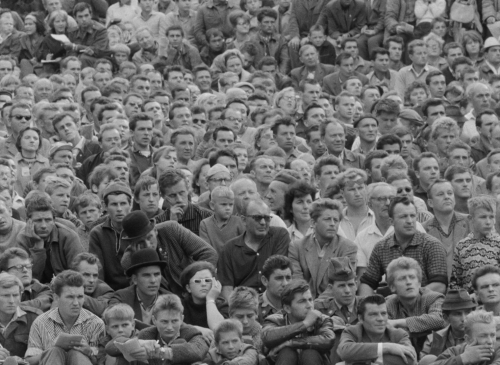 Pearls of the Deep 15