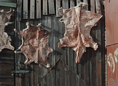 Pearls of the Deep 28