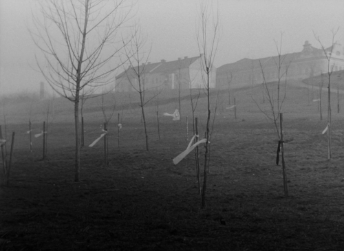 Pearls of the Deep 46