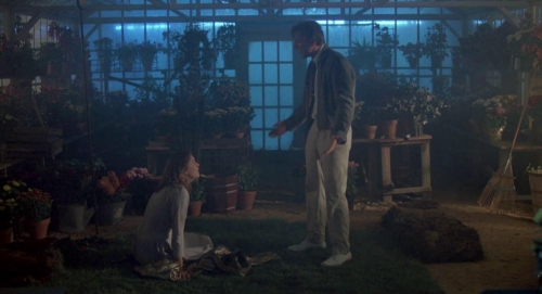 Peggy Sue Got Married 60