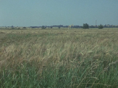 Penda's Fen 02