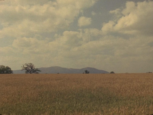 Penda's Fen 59