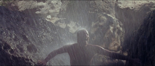 Planet of the Apes 25