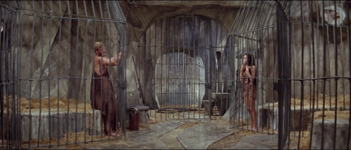 Planet of the Apes 45