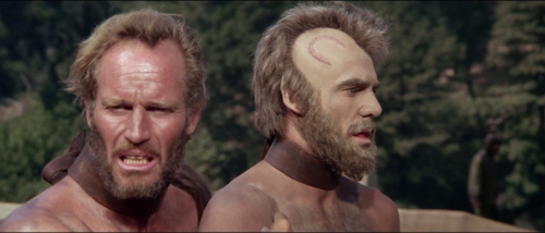 Planet of the Apes 48