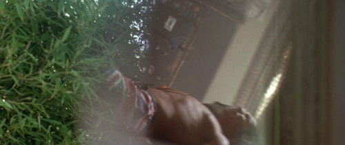 Point Break 31