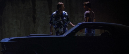 Point Break 35