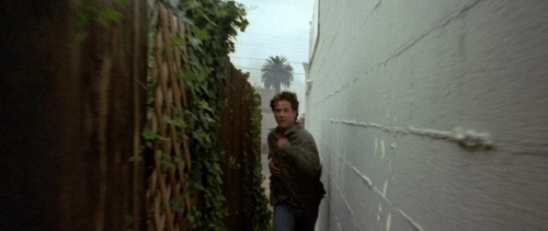 Point Break 38
