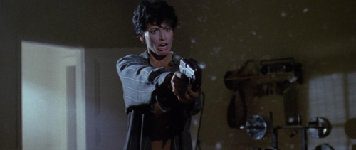 Point Break 44