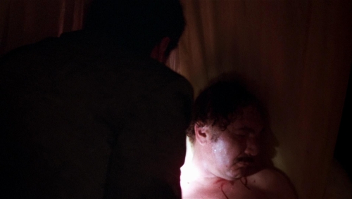 Postman Always Rings Twice 1981 22
