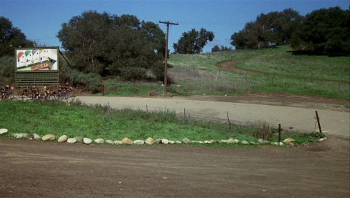Postman Always Rings Twice 1981 27