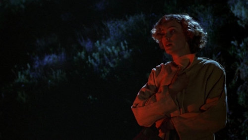 Postman Always Rings Twice 1981 34