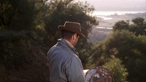 Postman Always Rings Twice 1981 46
