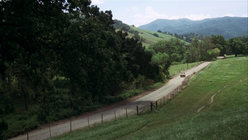 Postman Always Rings Twice 1981 61