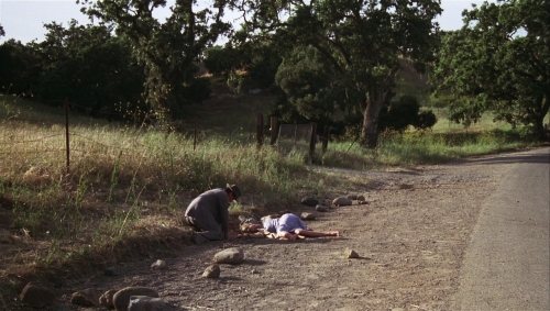 Postman Always Rings Twice 1981 63
