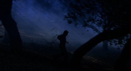 Pumpkinhead 04