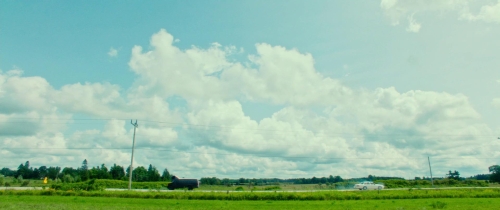 Random Acts Of Violence 09