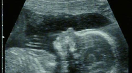 Red White and Blue 27