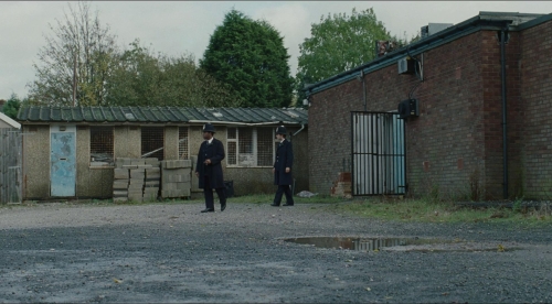 Red White and Blue 49