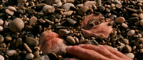 Reflection in a Dead Diamond 13