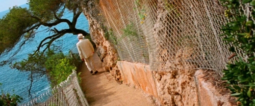 Reflection in a Dead Diamond 22