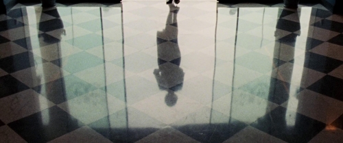 Reflection in a Dead Diamond 49