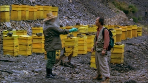 Save The Green Planet 34