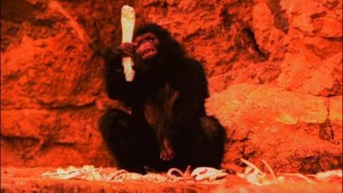 Save The Green Planet 54