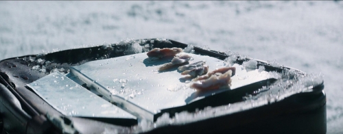 Society of the Snow 29