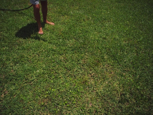 Some Kind of Heaven 55