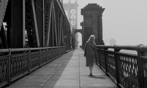 Something Wild 1961 30