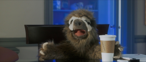 Song for a Sloth 022