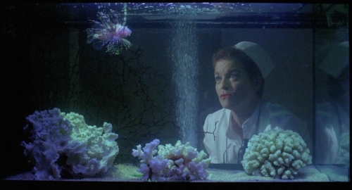 Stage Fright 1987 12