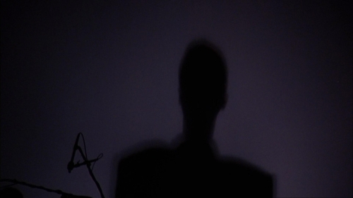 Stop Making Sense 50