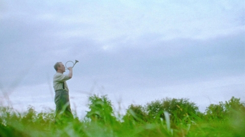 Strawberry Mansion 13