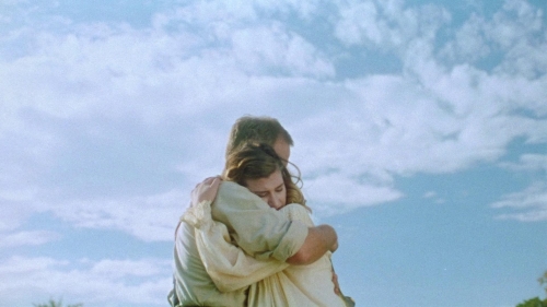 Strawberry Mansion 14