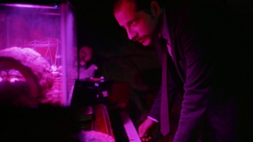 Strawberry Mansion 17