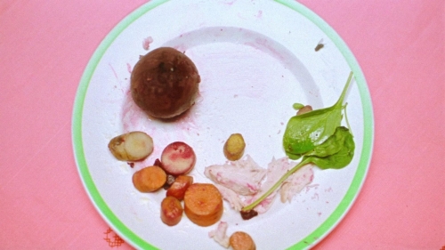 Strawberry Mansion 25