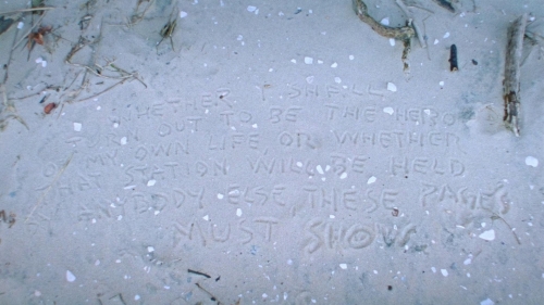 Strawberry Mansion 40