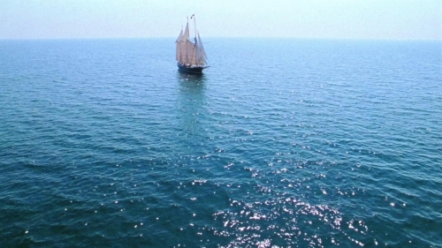 Strawberry Mansion 45